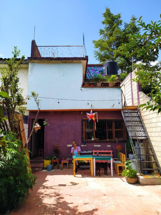 Lipi House Hostel San Cristóbal de Las Casas Exteriér fotografie